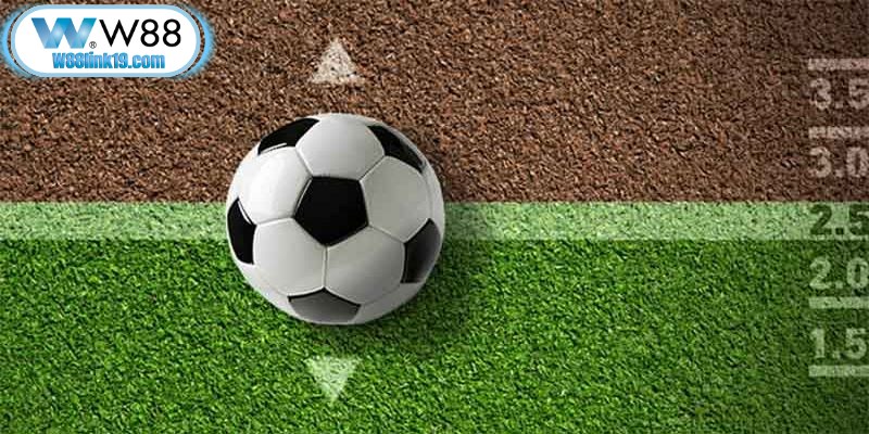 Để nâng cao tỷ lệ chiến thắng khi tham gia bạn nên có mẹo hiệu quả