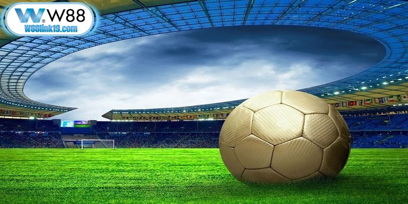 Tỷ lệ 2 in 1 bao phủ hơn 1.000 giải đấu lớn nhỏ trên toàn cầu